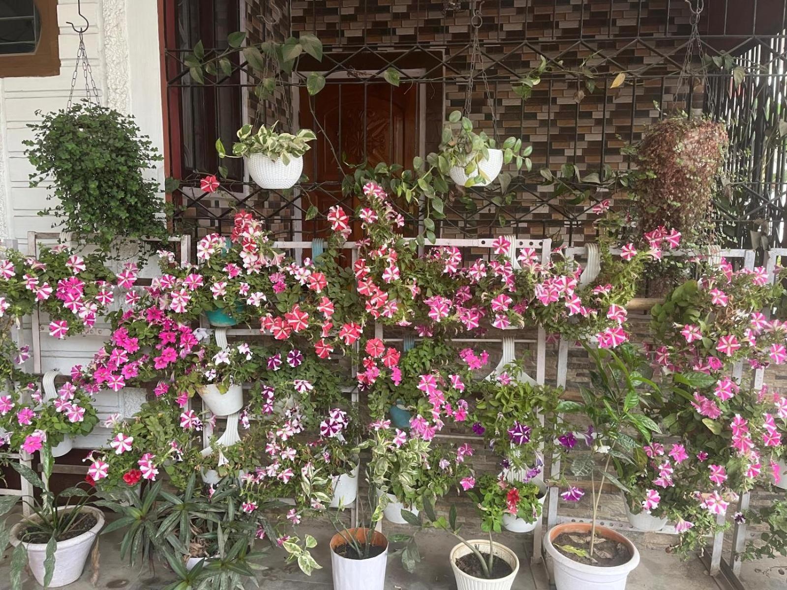 Amazing Homestay Guváhátí Exteriér fotografie